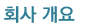title of company overview