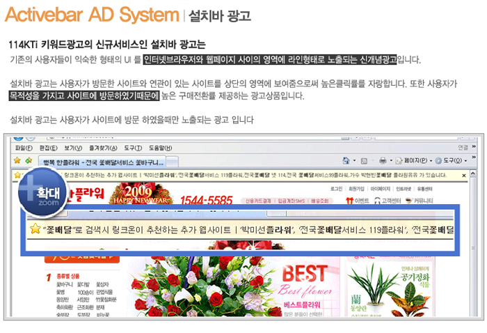 Internet Portal Site Search Language Additional Advertising/advertisement popup program (portfolio_OnMedia)